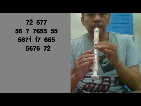 Ed Sheeran - Perfect (Recorder)