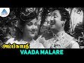 Ambikapathi Old Movie Songs Vaada Malare Video Song Sivaji Ganesan Bhanumathi
