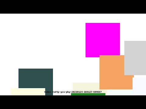 Video #sftp-gcs-pkg-20210124-160127-609667