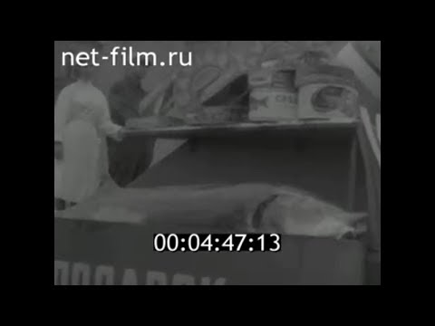 1962г. Астрахань. Демонстрация 7 ноября
