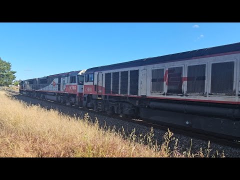 6PM9 SCT up "Grey Ghost" (4 locos), Forrestfield to Laverton, 1820, 4/11/24, Stawell VIC