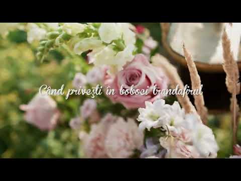 Cântă, cântă, cântă! - Gabi Ilut