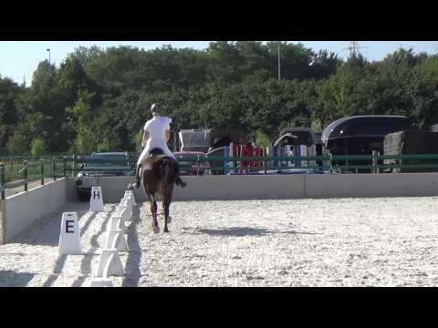 Innotime van't Dijkhof E5 Llyda Stables