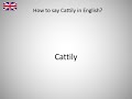 How to say Cattily in English?
