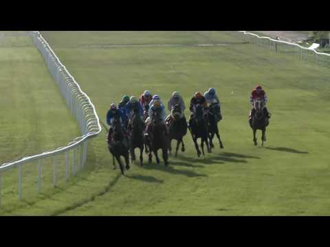 Millenniumi Díj 2017.05.21.