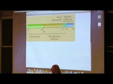 Kevin Ahern's BB 350 (Translation III/Review Session) 2014 - #21