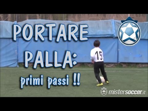 Little Friends Training - 01 - Carrying the Ball