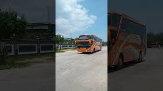 Download lagu Bus Pariwisata,NEW ATIKAH #shorts #shortsvideo #shortsfund mp3 Download lagu Bus Pariwisata,NEW ATIKAH #shorts #shortsvideo #shortsfund mp3