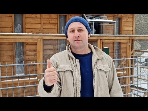 Piotr Bugała - PZHGP 0153 Ruda Śląska II / Sukcesy i Produkty 🏆