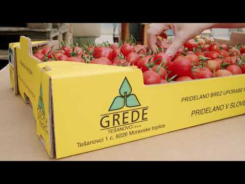 Lokalni ponudniki vabijo na destinacijo Moravske Toplice - Moravci Grede