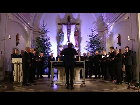 Männerchor Frohsinn Ottfingen - Ich geh meinen Weg auf der großen Welt