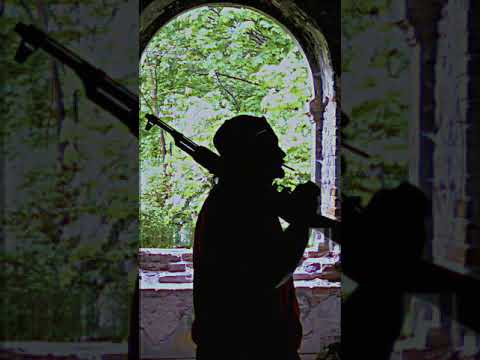 Teaser FIGO'86 #Szorty