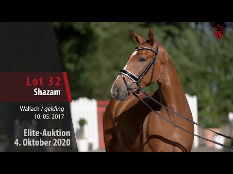 Elite-Auktion 4. Oktober 2020 Lot 32 Shazam Wallach v. Sir Heinrich - Riccio