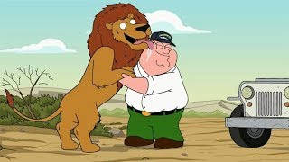 Peter Reunites With His Pet Lion In The Wild