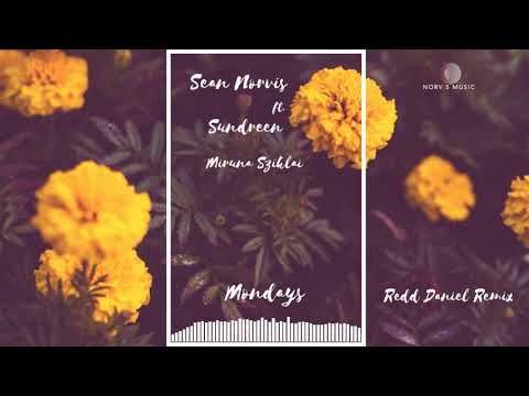 Sean Norvis ft. Sundreen & Miruna Sziklai - Mondays | Redd Daniel Remix