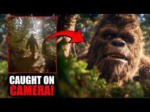 15 Terrifying Bigfoot Encounters Caught On Camera