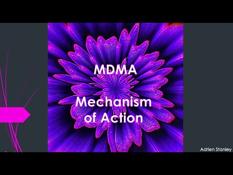 MDMA Mechanism of Action