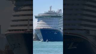 Carnival Celebration 🛳️ #share #like #subscribe #comment #cruise #vacation #shortvideo #shortsvideo