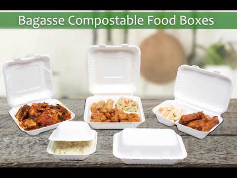 Bagasse Compostable Food Takeout Boxes: Sustainable Packaging Solutions