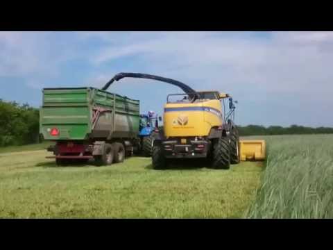 New Holland FR600 Marangon