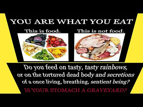 शाकाहारी VS मांसाहारी। VEG NON VEG by Rajiv dixit- Youtube Video