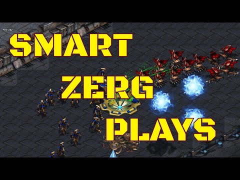 Starcraft Cast#326 - Rabbit(Z) faces off against a crisp Leebokgu(P)