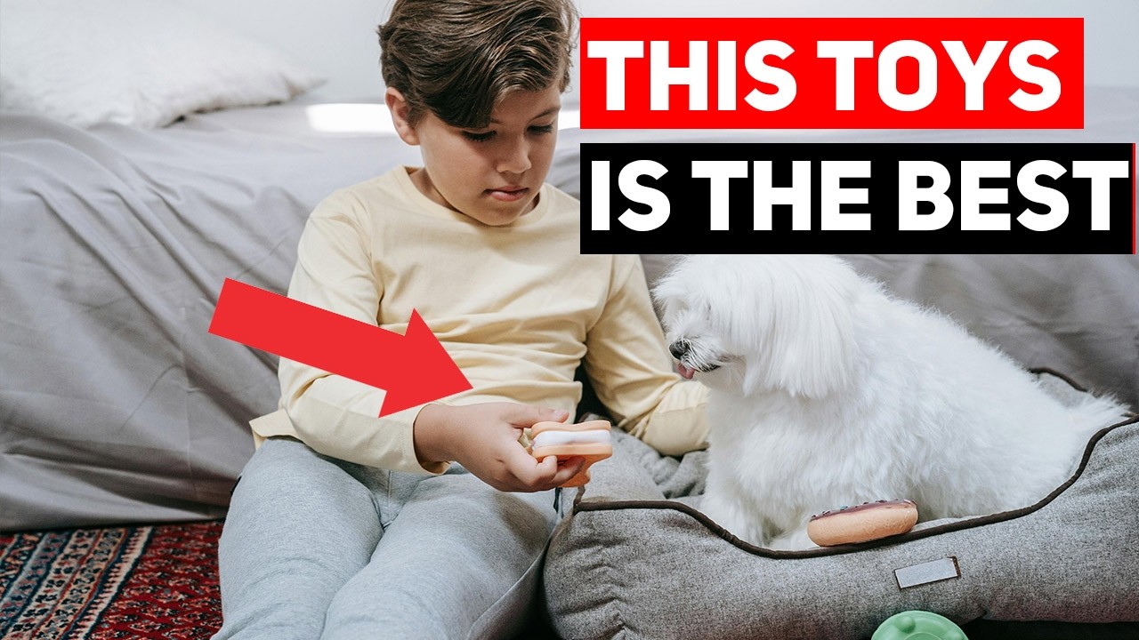 Top 10 Dog Favorite Toys to Play or Activity