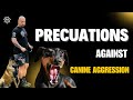 precautions against canine aggression aggressive dog training tips by dennis urrutia