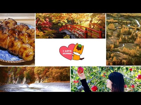 단풍/군마현에 어서오세요 Autumn Leaves