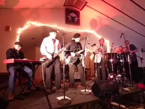 Steve Morgan and the Kingfish