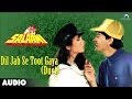 Salaami Dil Jab Se Toot Gaya Duet Full Audio Song Ayub Khan Roshni Jaffrey