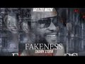 Shawn Storm - Fakeness (Official Audio)
