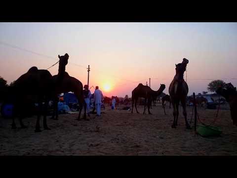 Phonolith - Afterhour @ Wilhelm98 *Progressive House & Tech 2017*