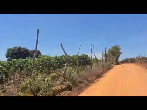 Sítio massarandoba #Feira Grande Alagoas 