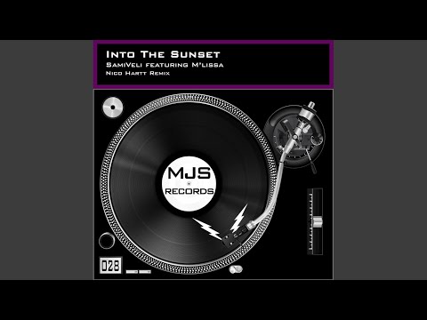 Into The Sunset (Nico Hartt Remix)