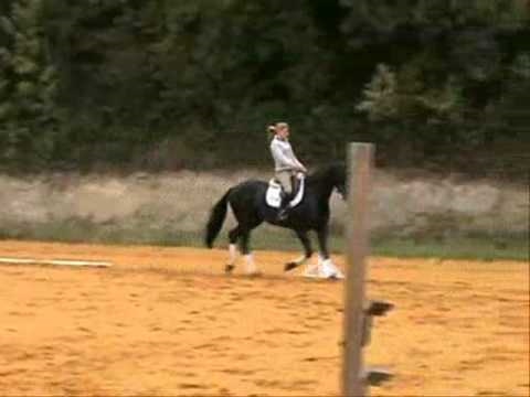 desiré plat 07 09 2010