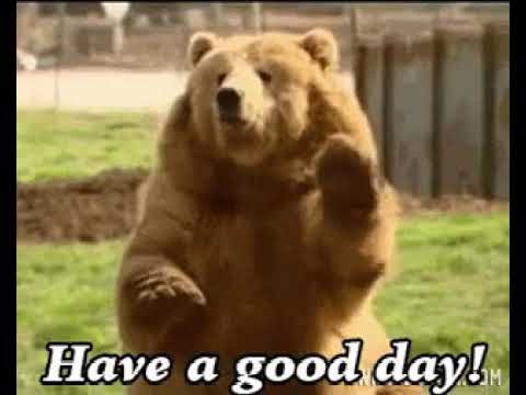 Que urso fofo,duração de vídeo 1 segundo kkkkkk