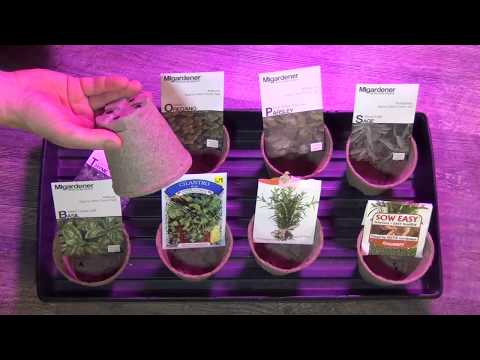 Planting The Indoor Herb Garden