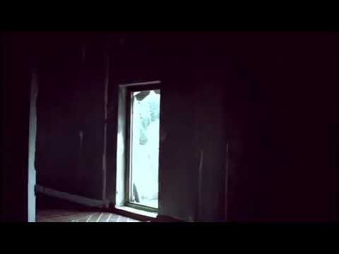 Jxse - Sirom (Audio Visualizer)