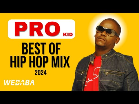 PRO best of HipHop Mix 2024 | Dj Webaba