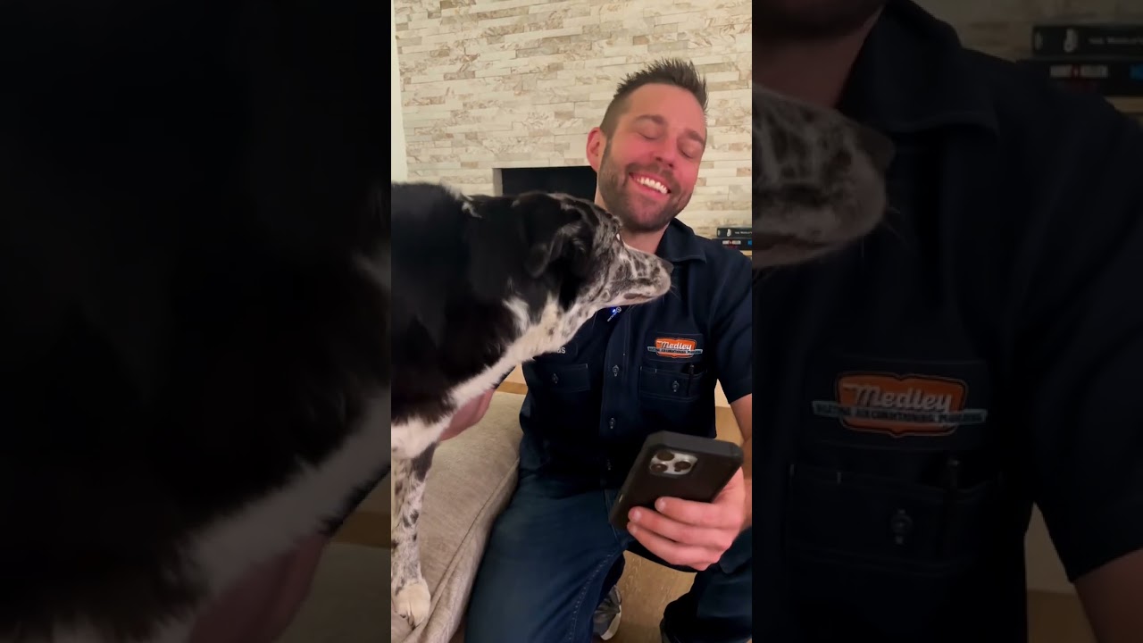 The Real Supervisor 🐶