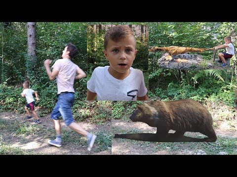 24 hours in the wild