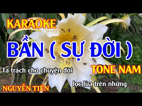 Karaoke Bần ( Sự Đời ) Tone Nam Nhạc Sống | Nguyễn Tiến