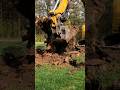 Watch This Caterpillar 305E2 Dig Up a Tree Stump Like a Pro - Amazing!