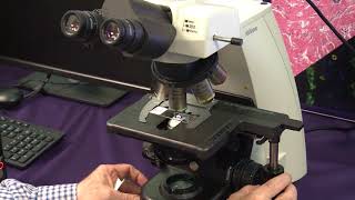 PathScan Touch: Transform your microscope into a scanner