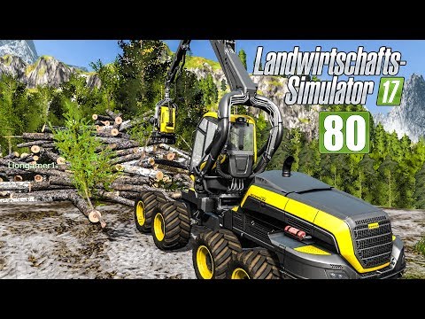 LS17 Forst #80 - Der XXL-Holzhaufen! I LANDWIRTSCHAFTS-SIMULATOR 17