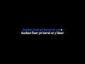 Cerys Matthews - Sosban Fach (Karaoke)