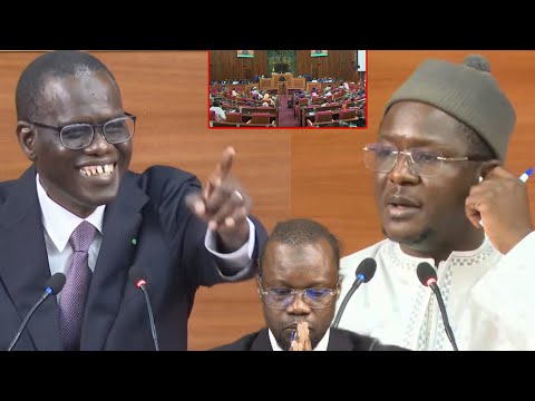 La réponse rigolote d’Al Amine Lô à Cheikh Bara Ndiaye devant les députés«Dego len Français