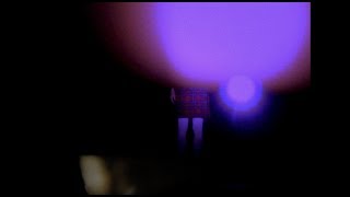 Pinkshinyultrablast - In The Hanging Gardens