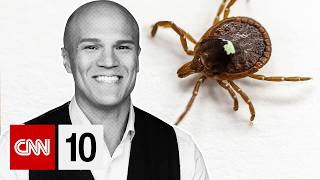 Why one tick bite is causing a rapidly growing red meat allergy | June 2, 2026
